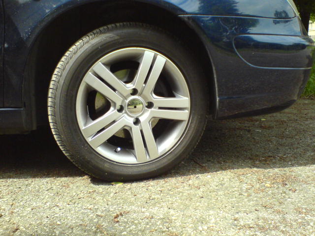 DSC00260.JPG