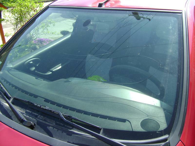 auto 004_web.jpg