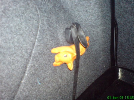 DSC01293.JPG