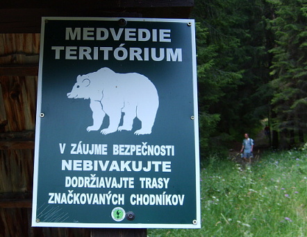 S5002680.JPG