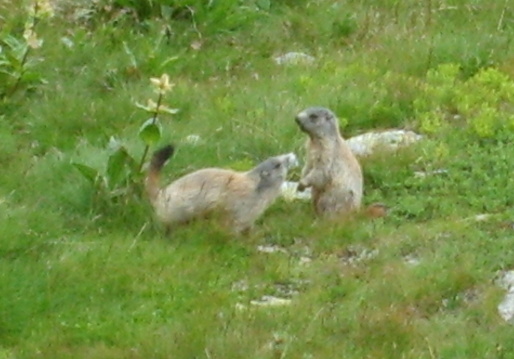 S5002672.JPG