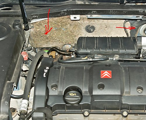 IMGP5760.jpg