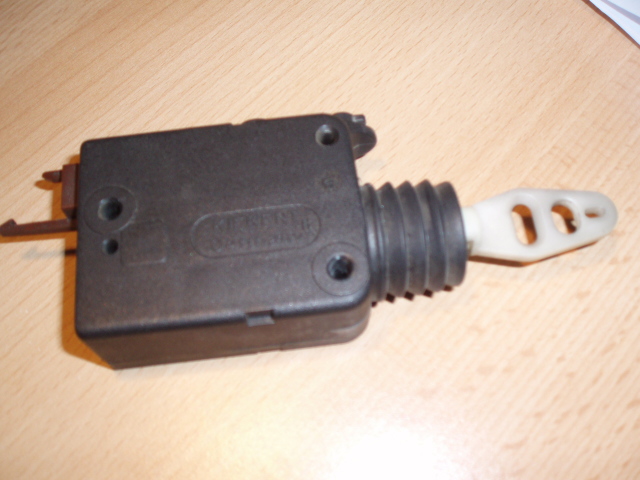 P1013337.JPG