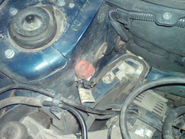 DSC00118.JPG