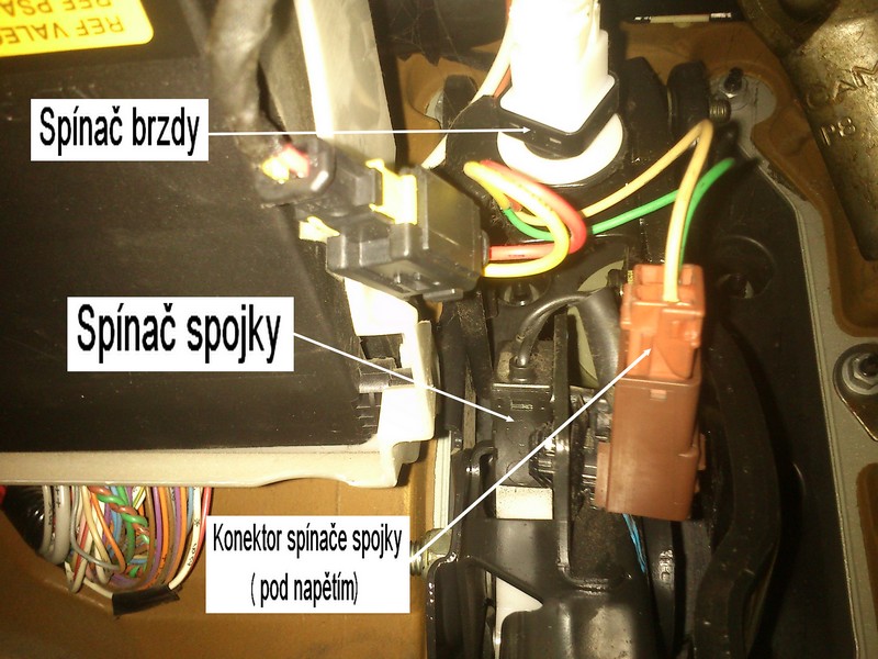 spinac.JPG