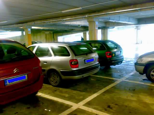 cvrček.jpg