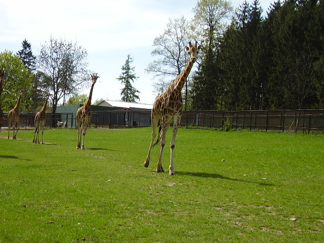 P4110034.JPG
