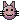 -cat-